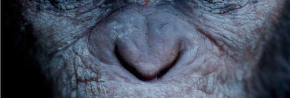 Planet der Affen – Revolution – Der Trailer ist da
